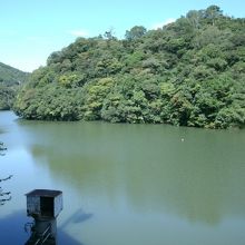 ダム湖（向道湖 ） 