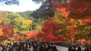 紅葉のお寺
