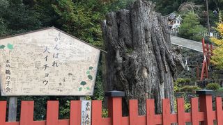 根っこだけでしたが。