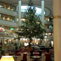 ロビーにはクリスマスツリーが