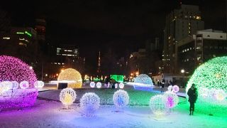 今年は一味違うセッティング