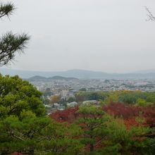 京都の町が一望