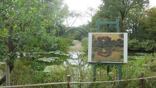 洗練された雰囲気が素晴らしいです