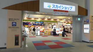 規模の小さな空港ですが充実