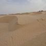一番大きな砂丘？を撮ってみました。