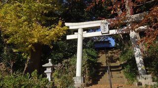 小金神社