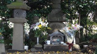 武常晴が、波多野氏を頼って秦野の地へ