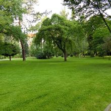 芝生の公園です