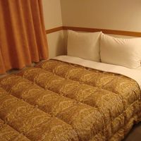 東横イン山手線大塚駅北口2のダブルベッド客室