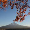 紅葉seasonも最高の旅館だったで賞☆