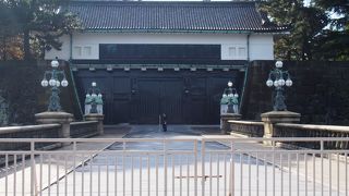 写真を撮っている人が多い