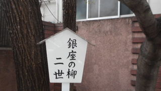 泰明小学校の脇に