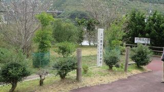 上川隆也さんの記念植樹もありました