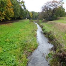 川幅はこんな感じ。