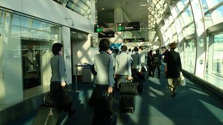 空港内を闊歩するCAさんの姿が、何ともいい。