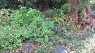 溶岩塚にある滝には水が流れていませんでした