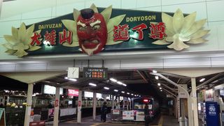 沿線には富士フィルムや天狗で有名な大雄山最乗寺