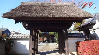 浄心寺 (伊勢原市)