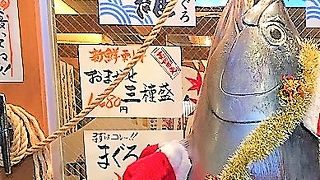 新鮮なお魚