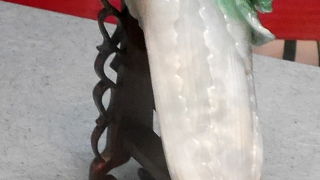 やはり素晴らしい　最初に新故宮との出会いという本を買っておくといい