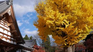 紅葉の穴場スポット