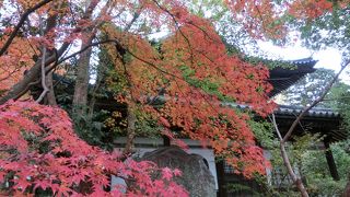 秋に長府を訪れたなら是非！