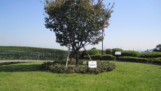 眺めが最高でした