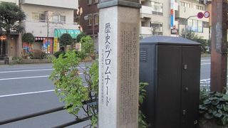 お散歩していて楽しいです