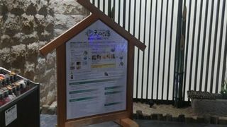 進化してました