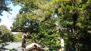 天宇受賣命もいました