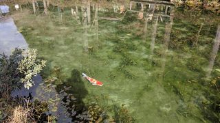 ただただ美しい