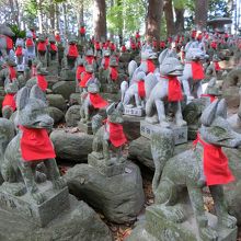 表情がみな違いますね。