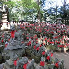 ものずごい数です。