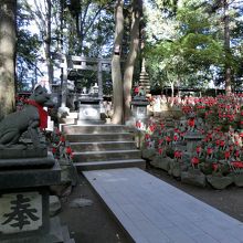 お寺ですが鳥居があります。