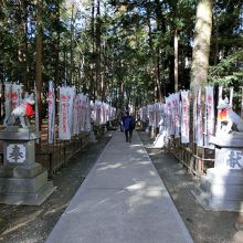 幟が並ぶ参道。