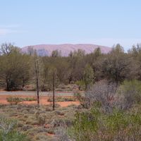 ロック・ビューの部屋からエアーズ・ロックが見えが、遠い