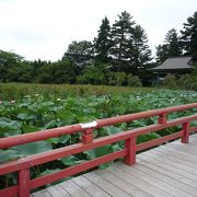 神社も立派でした