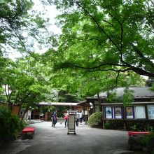 紅葉が美しいと思います