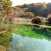 緑色に澄んだ神秘的な湖