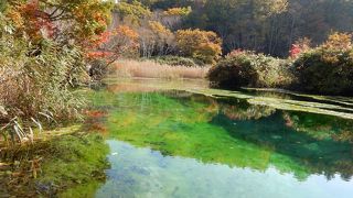 緑色に澄んだ神秘的な湖