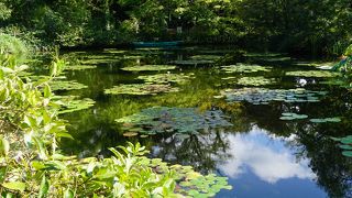 この眺めは本物です