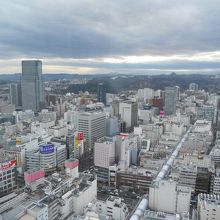 西側のフロアからの眺めです