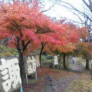 水上の諏訪峡の紅葉　2016/11/19（土）