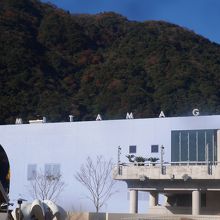 高崎山の向かいにあります