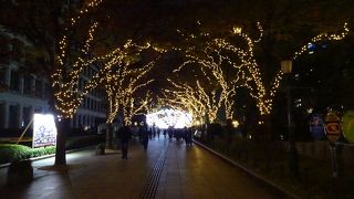 公園も良いし、緑道は良く整備されて歩きやすい。