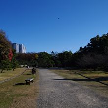 浜離宮恩賜庭園