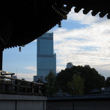 絵堂入口からの眺め