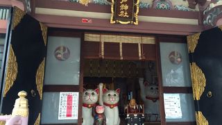 猫のおみくじがかわいい