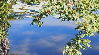 青空を映してきれいでした。