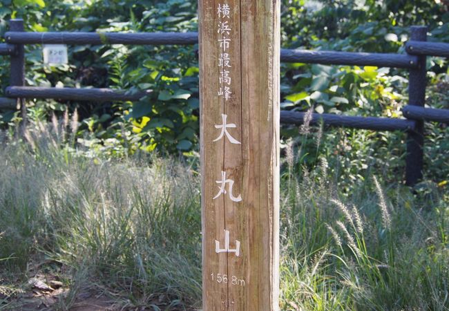 強くお勧めします、横浜の最高峰